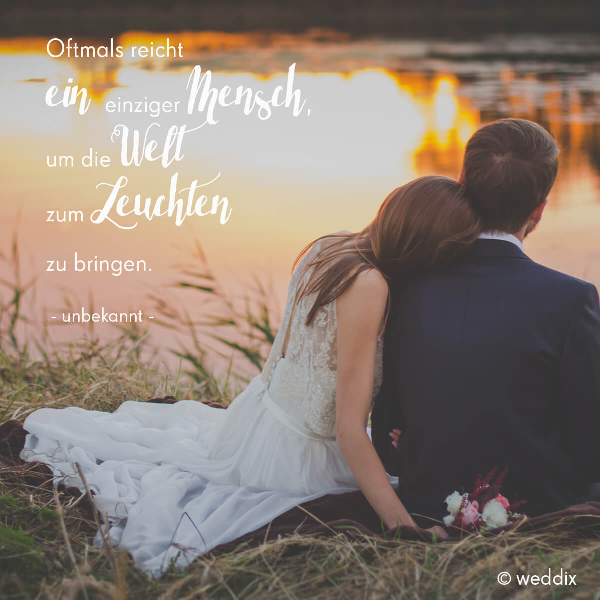 Hochzeitssprüche Zitate und Sprüche zur Hochzeit weddix