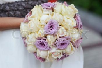 [Thumb - 2782825-319087-braut-halt-schone-hochzeit-bouquet-von-rosa-und-weisen-rosen.jpg]