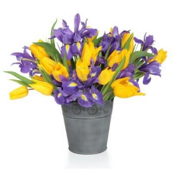 [Thumb - 9945396-lila-iris-und-gelbe-tulpe-blumen-arrangement-in-einem-beunruhigten-metall-vase-und-lose-auf-weissem-.jpg]